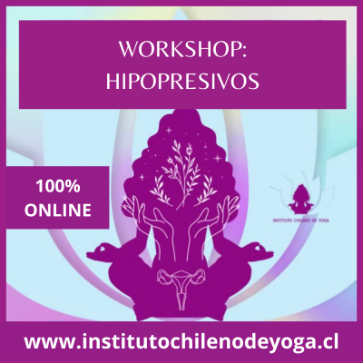 workshop-hipopresivos